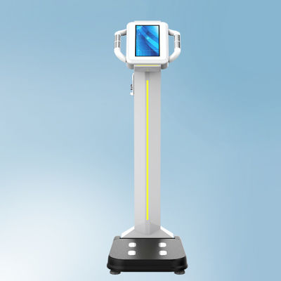 Coin Operated 300kg Luggage Weight Measuring Scale with LED Display and CE Certificate