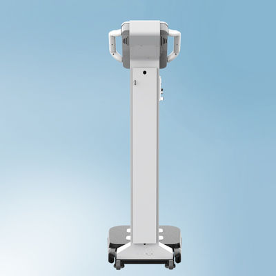 Coin Operated 300kg Luggage Weight Measuring Scale with LED Display and CE Certificate