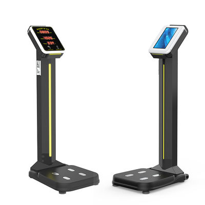 Customized Software Reengineering Gym Coin Operated Luggage Scale