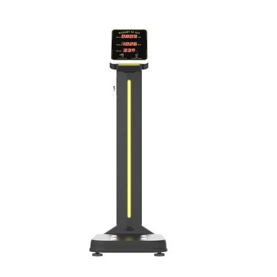 LCD Display Type Airport Hotel Coin Luggage Scale Pharmacy Coin Weight Scale