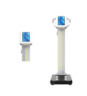 Professional Body Fat Muscle BMI Machine Accurate Weight Measurement Scale for Health