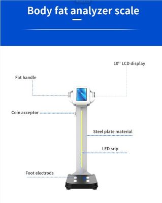 2023 Design Digital Body Fat Analyzer Machine for Measuring Weight and Body Composition