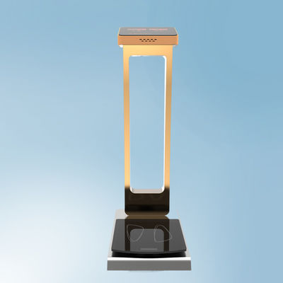 300kg Capacity Luggage Weighing Scales with Customized ODM Support