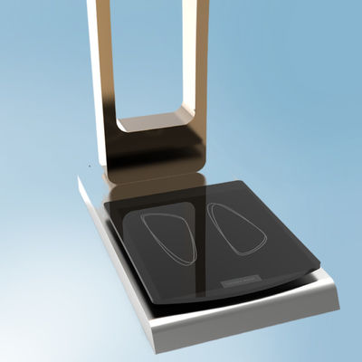 300kg Capacity Luggage Weighing Scales with Customized ODM Support