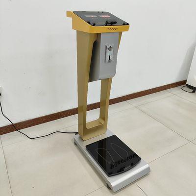 300kg Capacity Luggage Weighing Scales with Customized ODM Support