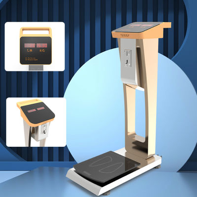 Hotel and Airport Coin Operated 300kg Luggage Scale with LED Display High Accuracy