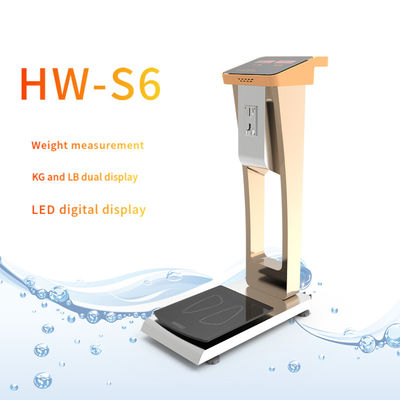 CE ISO9001 Certified ABS Stainless Steel Airport Luggage Scale for Frequent Flyers