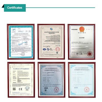 CE ISO9001 Certified ABS Stainless Steel Airport Luggage Scale for Frequent Flyers