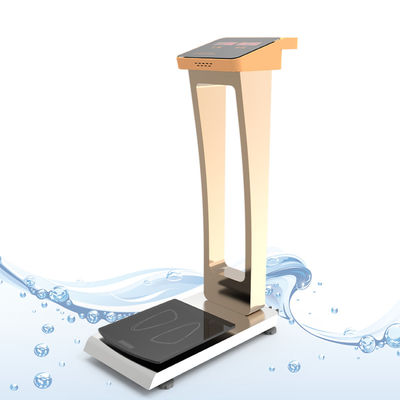 User-Friendly 0.1kg Division Coin Operated Baggage Weighing Scale for Hotel Guests