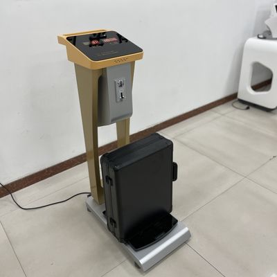 User-Friendly 0.1kg Division Coin Operated Baggage Weighing Scale for Hotel Guests