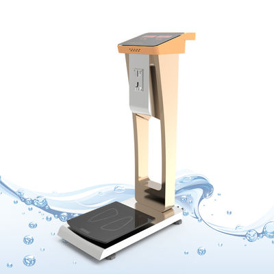 Gym Digital Weight Scale Coin Operated Human Weighing Machine with Customized Support