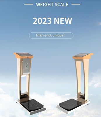 0.1kg Accuracy Coin Luggage Scale for Human and Luggage Weighing in Commercial Vending
