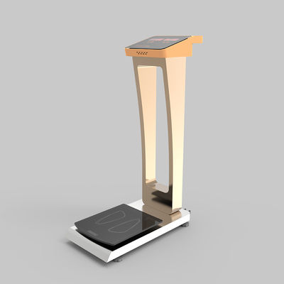 Coin Weight Scale for Precise Human Body and Luggage Baggage Weighing 300kg Rated Load