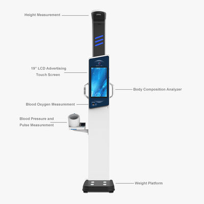 19&quot; LCD Touch Screen Body Analyzer for Comprehensive Adult Weight and Height Analysis