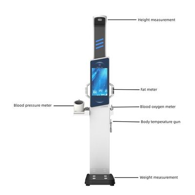 Bioimpedance Body Fat Analyzer Machine with Large Display Screen and Advertise Screen