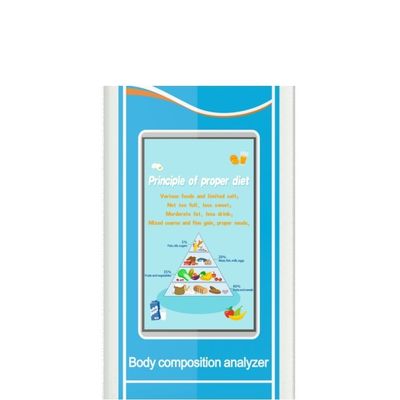 CE ISO9001 Certified Gym Height Scale with Weight and Body Mass Index Analyzer