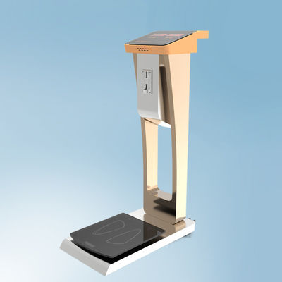 Luggage Scale for Easy Weighing at Airport Hotels Overall Size 33*55*100cm G.W. 35kg