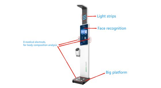 2024 Year Design Ultrasonic Body Composition Analyzer Machines with 500kg Capacity